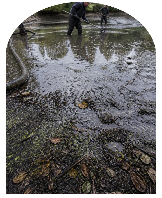 Очистка пруда в Сегеже от ила мусора и водорослей с вывозом