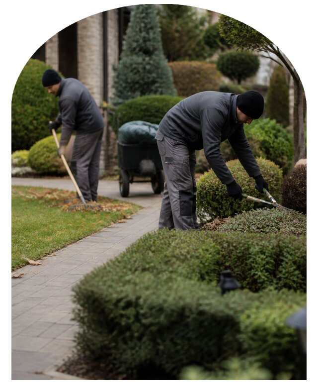 Сезонный уход за садом и участком под ключ в Сегеже